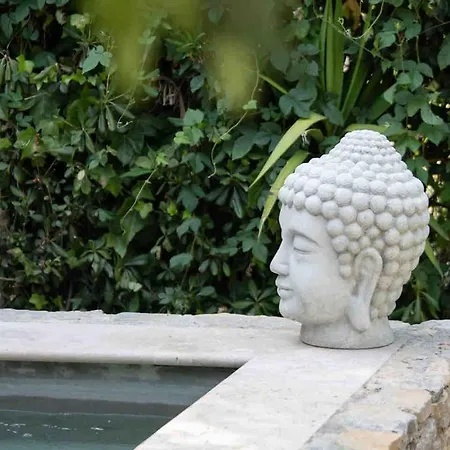 Apartment Gulf Of St Tropez 3 Rooms, Garden, Private Pool Sainte-Maxime